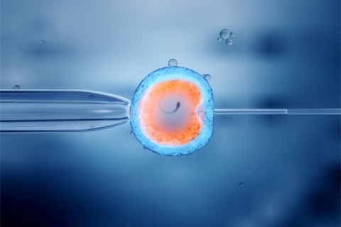 http://nkltjy.cn/post/200.html|试管助孕