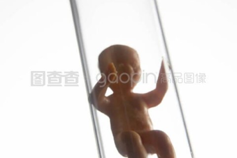 http://nkltjy.cn/post/196.html|服务项目